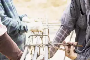 Inilah Cara Menghitung Kebutuhan Besi Kolom Dan Balok, Mudah Saja